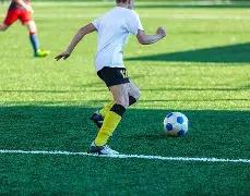 开云平台网,站品牌大使,皮耶罗,开云体育,开云体育官网,开云体育app,开云体育平台,KAIYUN,SPORTS,kaiyun登录入口