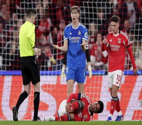 大乐透期号,专家推荐,狮子港南奔,开云体育,开云体育官网,开云体育app,开云体育平台,KAIYUN,SPORTS,kaiyun登录入口