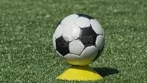 开云平台网站品牌大使皮耶罗 产品 141244 z1c