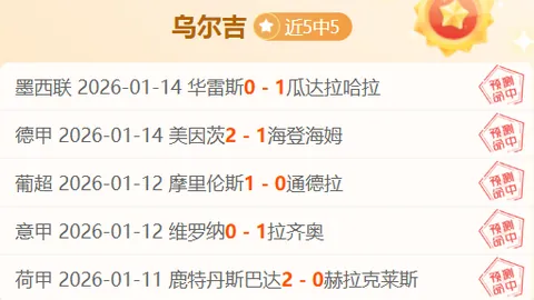 新春基层探访记：探寻“攀登雪域”的英雄足迹